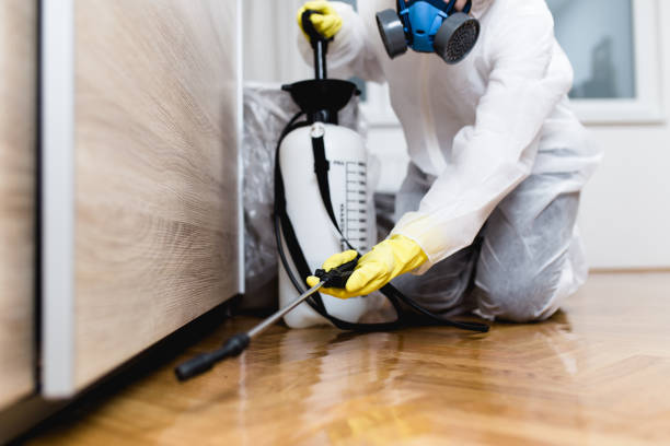 Best Mosquito Control Services  in Taft, TX