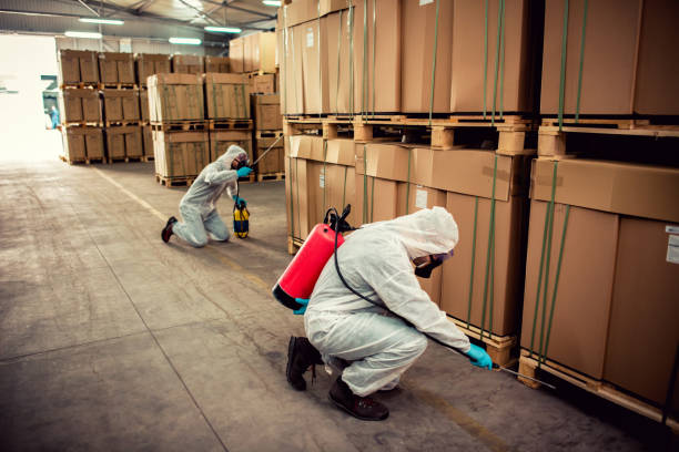 Trusted Taft, TX Pest Control Experts