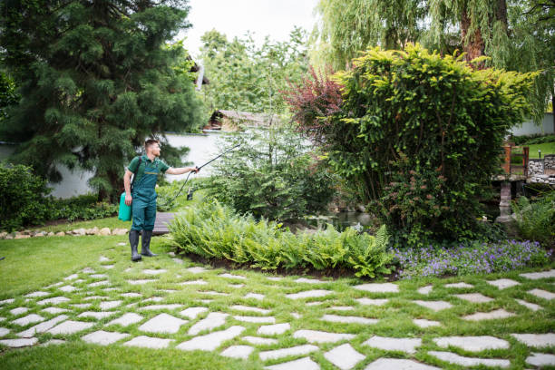 Best Commercial Pest Control Services  in Taft, TX
