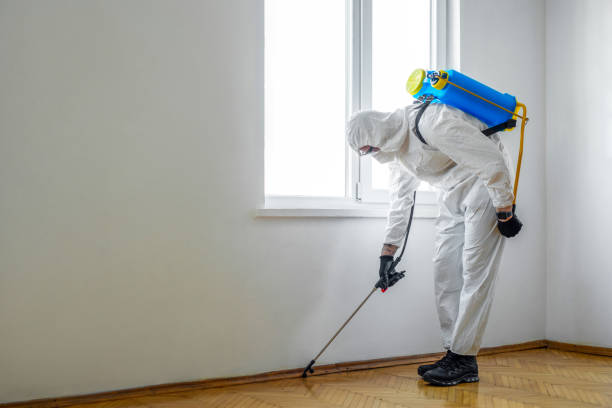 Best Pest Prevention Services  in Taft, TX
