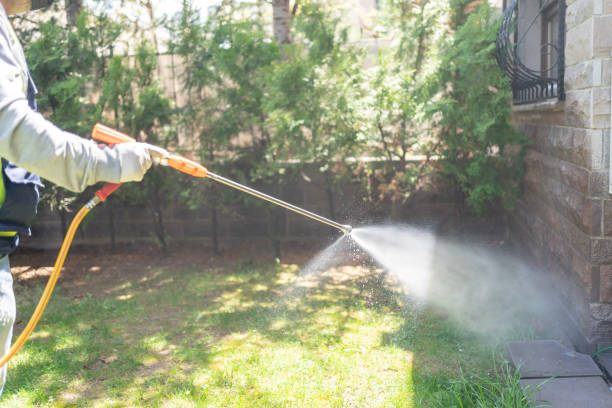 Best Affordable Pest Control Services  in Taft, TX