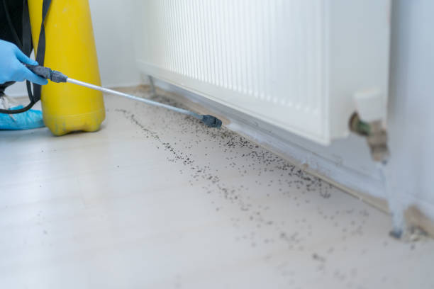 Best Residential Pest Control  in Taft, TX