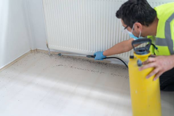 Best Affordable Pest Control Services  in Taft, TX