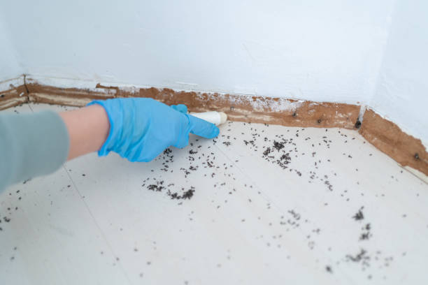 Best Exterminator Services  in Taft, TX