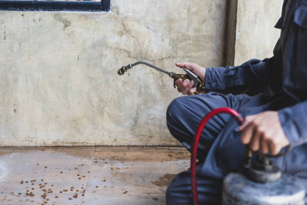 Best Pest Control Near Me  in Taft, TX